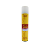 INSETTE Mane Maintenance sausais šampūns matiem 200ml | STOCK
